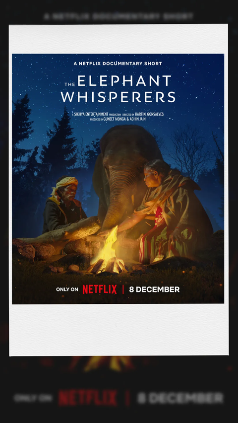 2. The Elephant Whisperers - Netflix