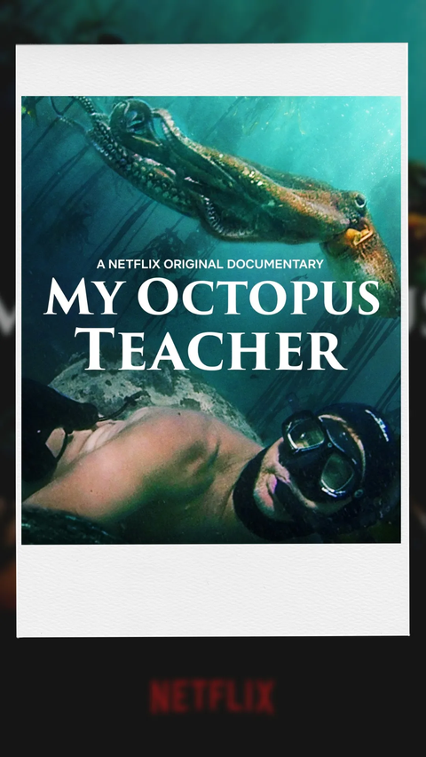 5. My Octopus Teacher - Netflix