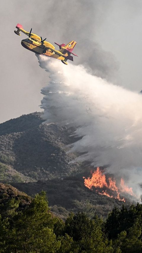 Dilansir Reuters (25/7), petugas pemadam kebakaran berjuang melawan kobaran api yang telah berkobar sejak Rabu pekan lalu.