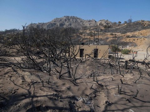 FOTO: Momen Haru Petugas Damkar Selamatkan Kelinci dari Kebakaran Hutan di Yunani