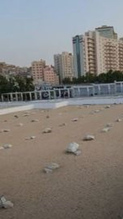 Penampakan Makam KH Maimoen Zubair di Makkah, Jasadnya Masih Utuh saat Kuburannya Dibongkar