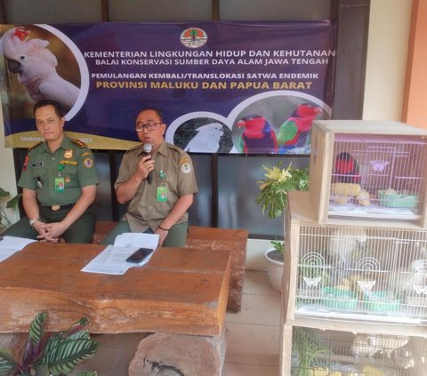 25 Burung Langka Dilepasliarkan ke Habitatnya di Papua dan Maluku