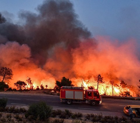 Musibah kebakaran hutan di Aljazair telah menyebar dengan cepat ke negeri tetangga, Tunisia.<br /><br />Kedahsyatan kobaran apinya telah melanda dan menghanguskan sepanjang pesisir Laut Mediterania di kawasan itu.
