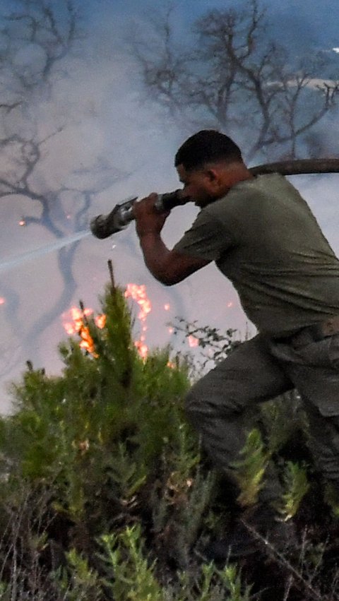 Ribuan petugas pemadam pun telah dikerahkan untuk memadamkan api yang bergerak cepat itu.