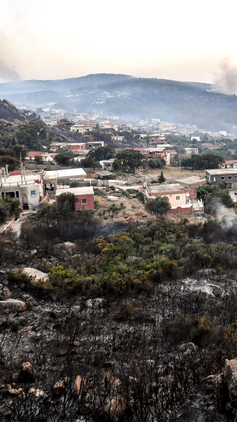 Imbas kebakaran di Aljazair  ini, dilaporkan sekitar 1.500 orang telah dievakuasi dari Provinsi Bejaia, Bouira, dan Jijel, menurut AFP.
