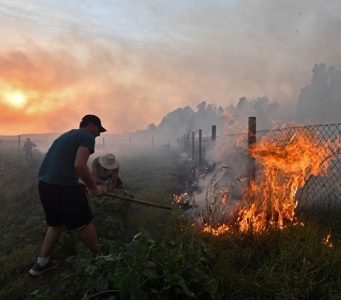 FOTO: Kebakaran Hutan di Aljazair Kian Mengganas dan Menyebar ke Tunisia, Kobaran Apinya Dahsyat Menghanguskan Segalanya