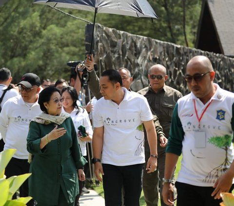 Dalam acara ini, Megawati akan menandatangani prasasti peresmian sekaligus menyerahkan bibit mangrove. Lalu, Megawati akan memberikan sambutan sebagai kepala BRIN.