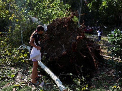 FOTO: Badai Angin Kencang Terdahyat Tumbangkan Pohon-Pohon Raksasa di Kota Milan Italia, Potretnya Bikin Ngeri