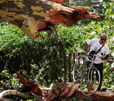 FOTO: Badai Angin Kencang Terdahyat Tumbangkan Pohon-Pohon Raksasa di Kota Milan Italia, Potretnya Bikin Ngeri