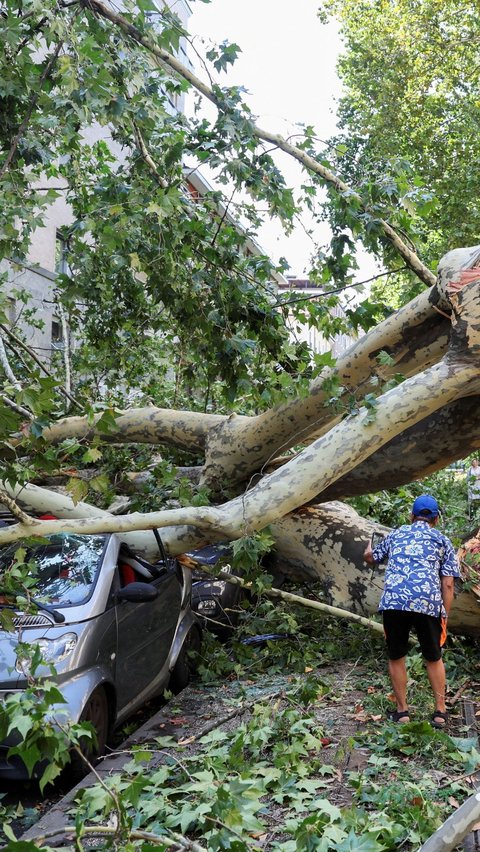 FOTO: Badai Angin Kencang Terdahyat Tumbangkan Pohon-Pohon Raksasa di Kota Milan Italia, Potretnya Bikin Ngeri