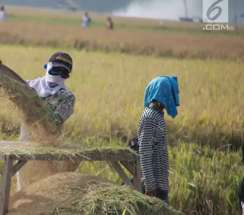 Anak Usaha BUMN Pupuk Kini Punya Jurus Anti Penyuapan