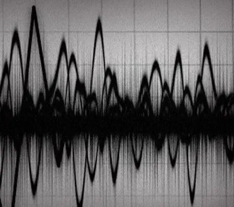Maumere NTT Diguncang Gempa Bumi Magnitudo 5,0