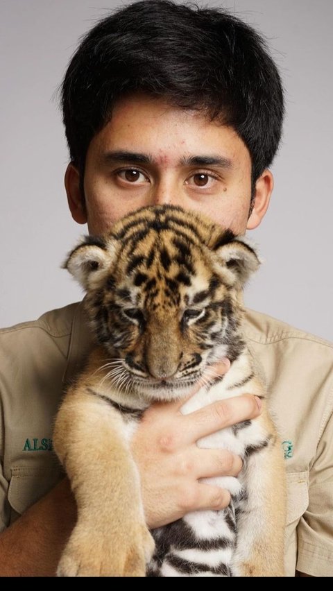 Jadi Sorotan, Alshad Ahmad Ungkap Penyebab Kematian Cenora Anak Harimau Miliknya