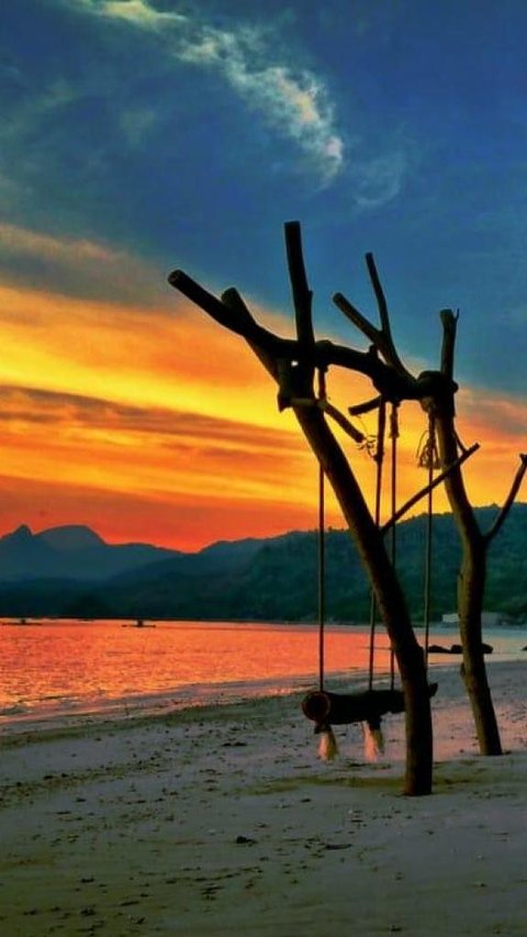 Potret Taman Laut Karang Tresno Trenggalek, Ombak Tenang Cocok untuk Menyelam Saksikan Keindahan Terumbu Karang