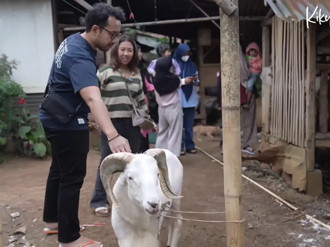 Kiky Saputri Ajak Suami Pulang Kampung ke Garut Lihat Tanah yang Akan Dibangun dan Domba