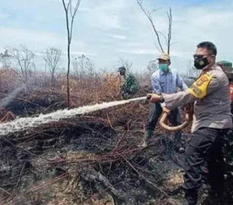 Warga Sumsel di Wilayah Ini Dilarang Keras Nyalakan Api, Ada Karhutla dan Kabut Asap Mengancam