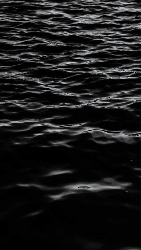Fakta Menarik Laut Hitam, Tak Memiliki Oksigen di Dalam Air
