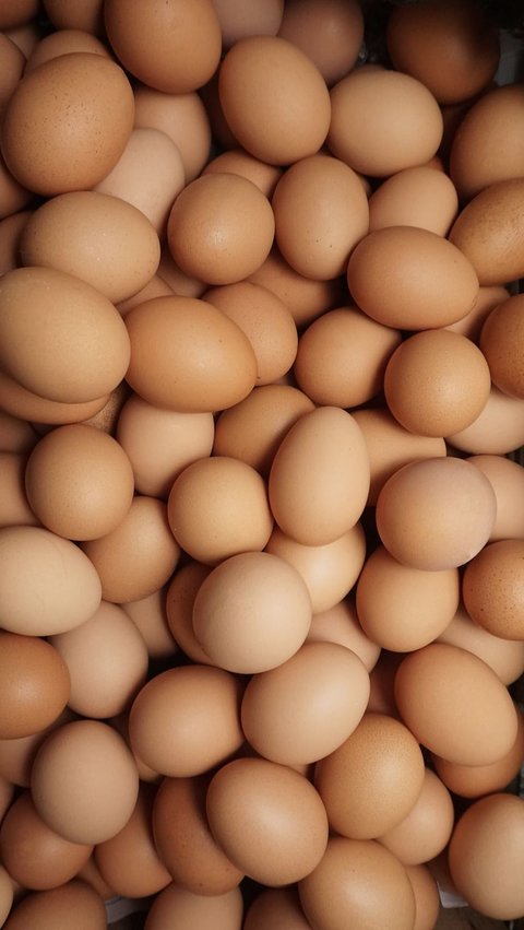 Perbedaan Telur Ayam dan Telur Bebek, dari Cangkang hingga Kandungan Nutrisinya