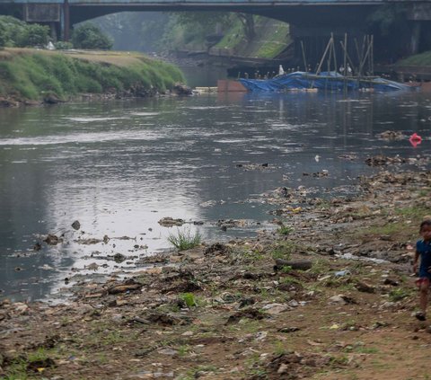 FOTO: Fenomena El Nino Bikin Sungai Ciliwung Nyaris Kering, Kondisinya Banyak Sampah