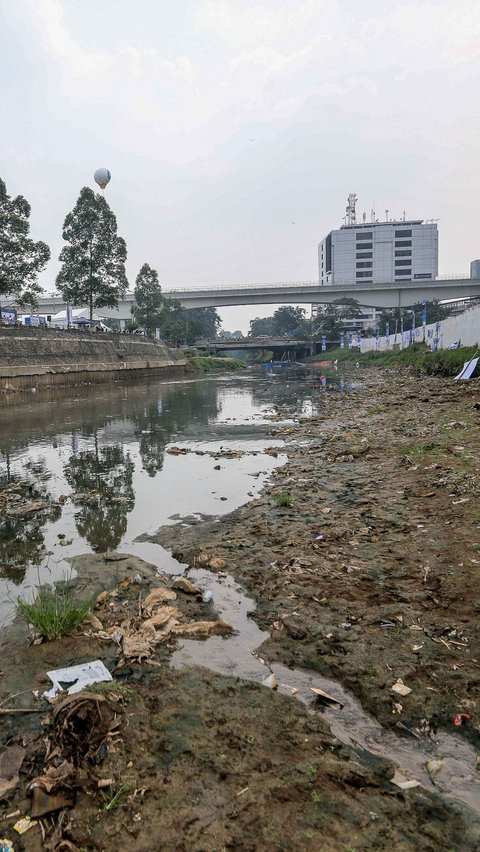 Kondisi ini mengharuskan petugas Unit Penanganan Sampah Badan Air ( UPS Badan Air) untuk segera bertindak mengangkut endapan sampah di dasar Sungai Ciliwung yang menyusut airnnya.