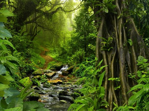 Bukit kecil