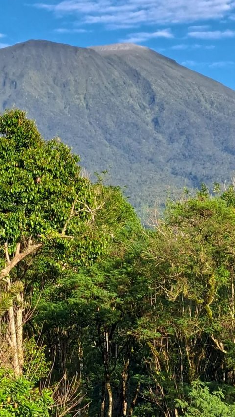 Kepanikan Pendaki saat Gunung Dempo Erupsi,  Lari Menyelamatkan Diri Sampai Tenda Ditinggal