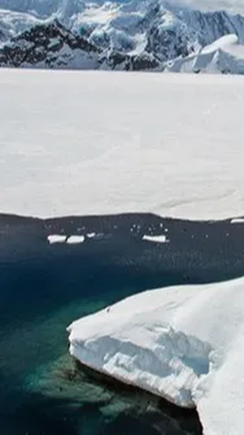Es di Laut Antartika Capai Titik Terendah, Para Ilmuwan Mulai Takut