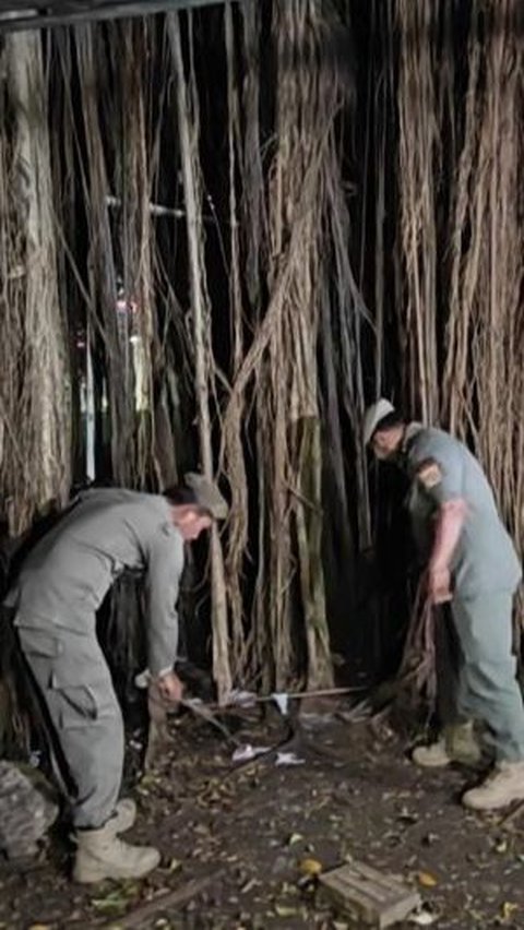 Hutan Kota Cawang jadi Tempat Kumpul LGBT Bukan Milik Pemprov DKI, Ternyata Ini Pemiliknya