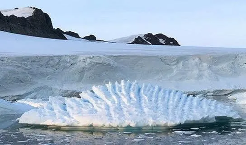 Es laut membantu melindungi rak es terapung yang luas dari gelombang yang menghantam, jelasnya.