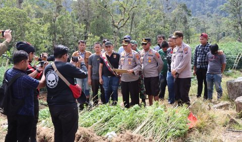 Setelah dilakukan penyisiran tim gabungan akhirnya menemukan pohon ganja yang ditanam di beberapa titik. Penanaman pohon ganja tersebut berada di enam titik.