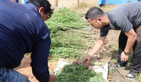 Dengan adanya temuan ini, polisi mengajak kepada masyarakat untuk ikut serta memberikan pengawasan di lingkungannya masing-masing.