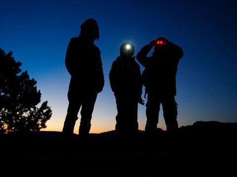 Mantan Intelijen: Pemerintah AS Sembunyikan Kapal UFO dan Mayat Alien