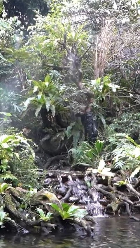 Cari Ilmu untuk Aviary di Rumahnya, Ini Momen KSAD Jenderal Dudung Abdurachman Datang ke Rumah Irfan Hakim