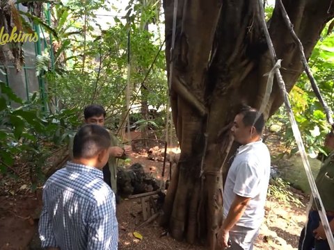 Cari Ilmu untuk Aviary di Rumahnya, Ini Momen KSAD Jenderal Dudung Abdurachman Datang ke Rumah Irfan Hakim