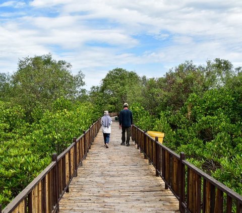 Kebun Raya Mangrove di Gunung Anyar di Kota Surabaya, Jawa Timur, jadi kebun raya dengan spesies khusus mangrove pertama di Indonesia. Belum ada daerah lain yang memilikinya.