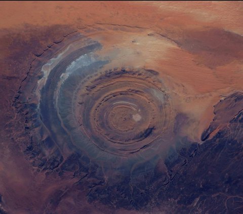 Batu berwarna cokelat kemerah-merahan yang agak gelap ini ditemukan di Maroko pada 2018 lalu.