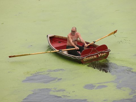 FOTO: Penampakan Sungai di Inggris Dipenuhi Gulma Akibat Cuaca Panas, Ribuan Ikan Terancam