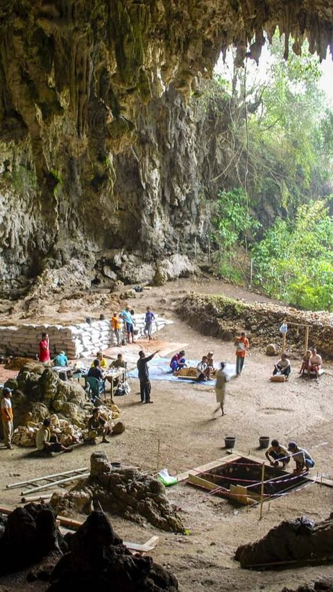 Begini Wajah Hobbit, Manusia Purba yang Hidup di Flores 50.000 Tahun Lalu