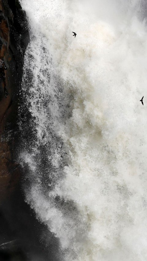 Suara gemuruh Air Terjun Iguazu yang berjatuhan juga mampu membuat pikiran menjadi tenang.