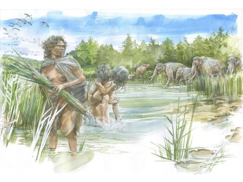 300.000 Tahun Lalu Nenek Moyang Manusia Hidup Bersama Gajah dan Badak di Pinggir Sungai