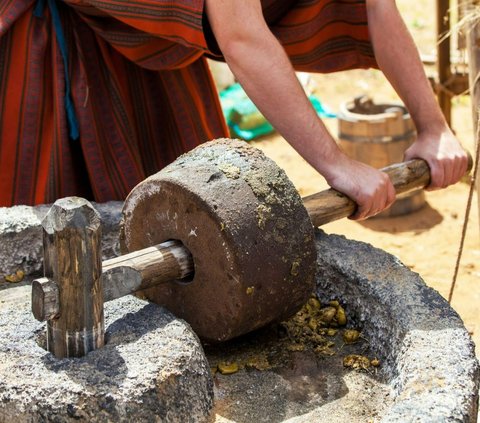 Sedang Cabut Pohon Zaitun, Petani Temukan Artefak Kuno Berusia 2.000 Tahun