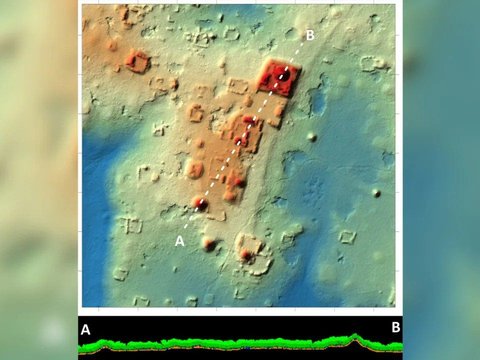 Sinar Laser Ungkap Kota Kuno Bangsa Maya Tersembunyi di Bawah Hutan, Ada Piramida dan Lapangan Bola