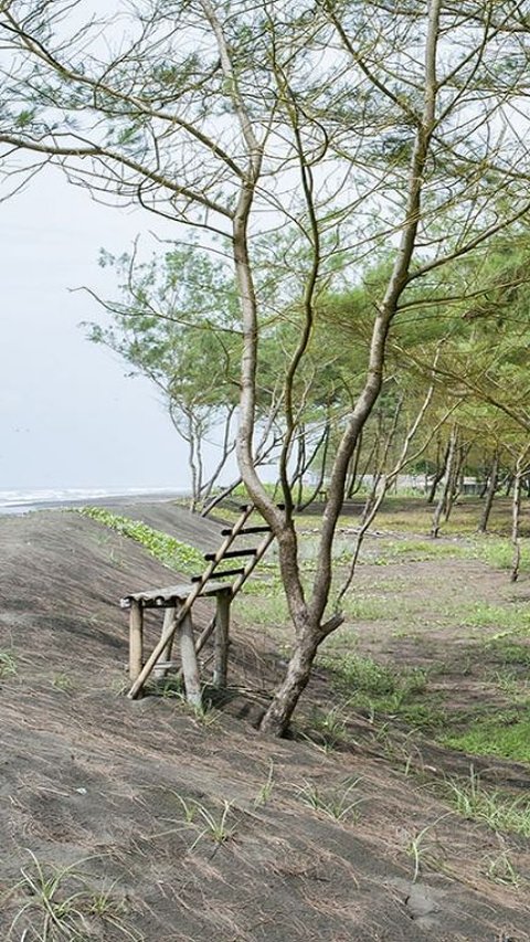 6. Pantai Sodong, Cilacap