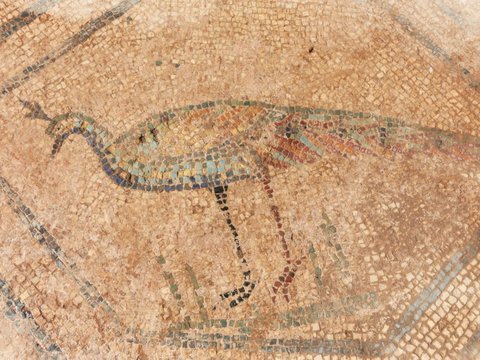 Mozaik Bergambar Sosok Medusa dari Zaman Romawi Kuno Ditemukan di Sebuah Lantai Rumah