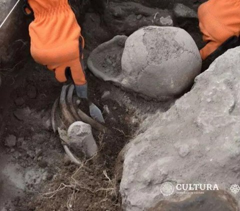 Arkeolog Temukan Tengkorak Kepala Manusia Purba Berbentuk Hati
