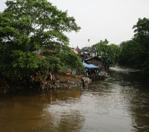 Jokowi Resmikan Sodetan Ciliwung, Ini Sederet Faktanya