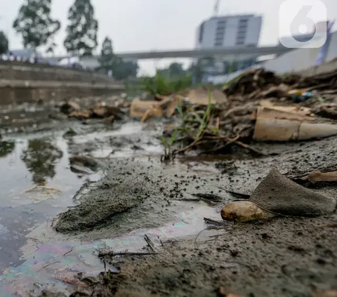 Jokowi Minta Penanganan Banjir di Jakarta Dilakukan dari Hulu ke Hilir