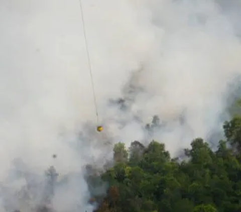 Ladang Rumput Bandara Adisutjipto Yogyakarta Terbakar, Begini Kondisi Terkininya