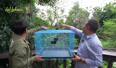 Burung yang dilepas adalah berjenis kelamin betina dan akan dipertemukan dengan pasangan jantannya di dalam aviary.