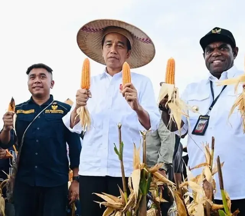 Jokowi Ungkap Sederet Penyebab Bencana Kelaparan di Papua Tengah